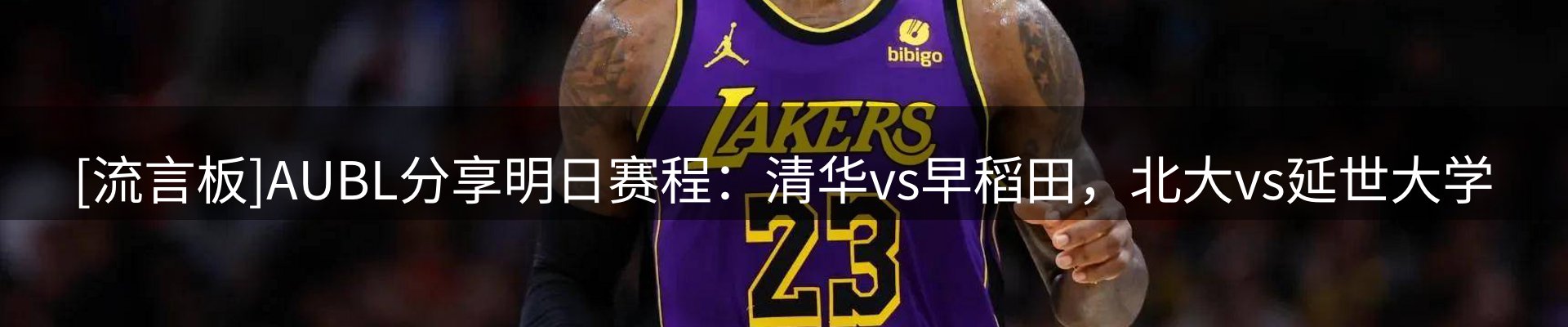 新闻动态